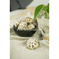 Yongxing Food Autumn Plant Dried White Flower Mushroom